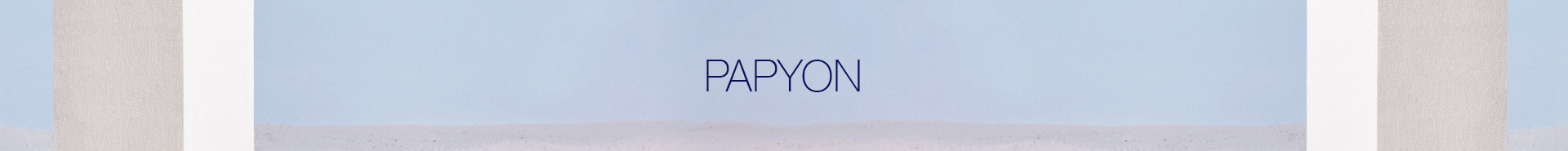 papyon_1920x185.jpg (27 KB)